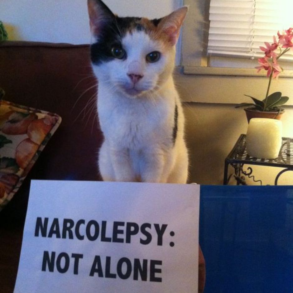 Allie – Pennsylvania