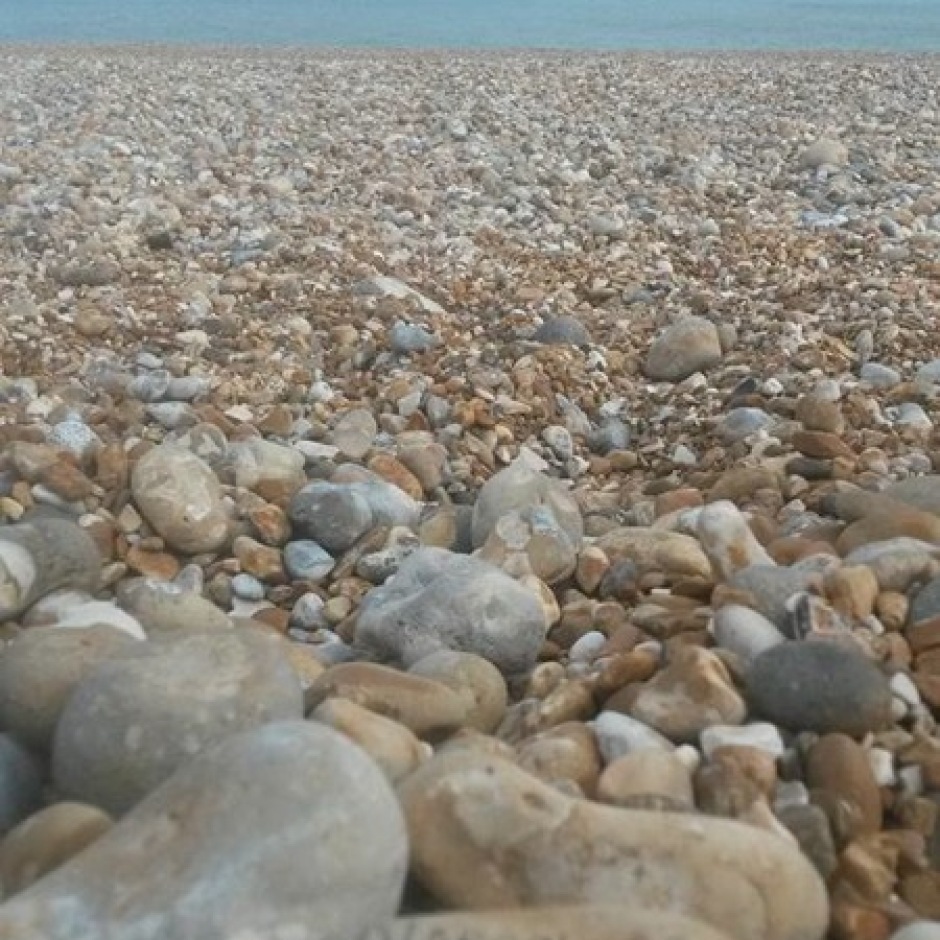 Heather – United Kingdom