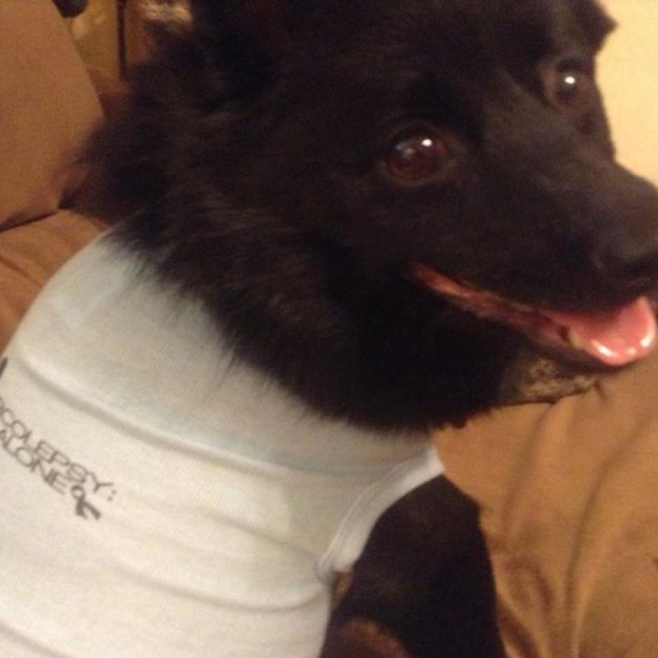 Piper Terri Service Dog