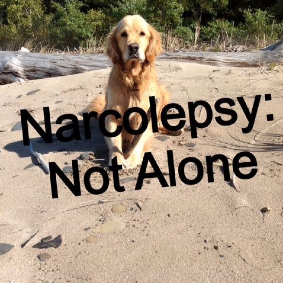 Schuster – New York