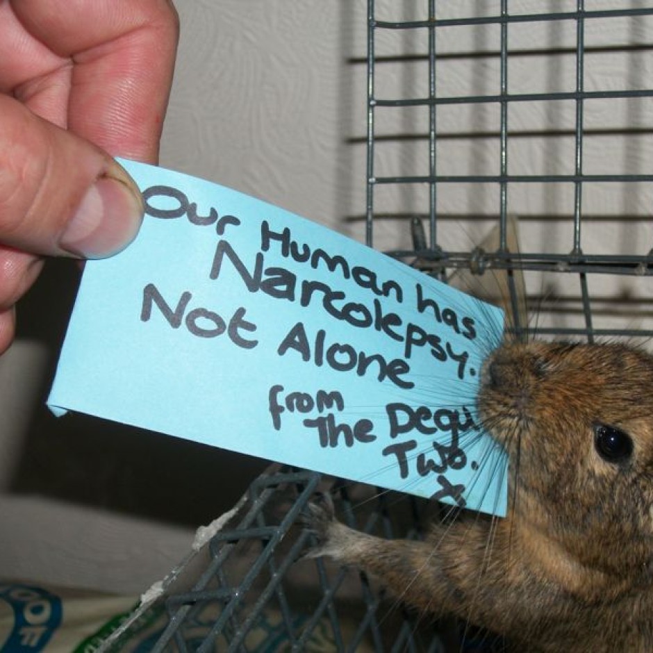 Snarf Moxie Deju – United Kingdom