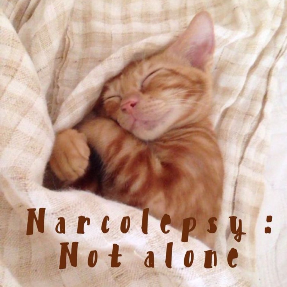 Syanne’s Kitten – South Korea